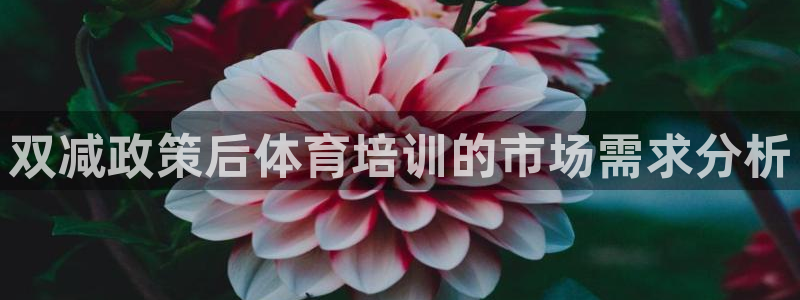 耀世集团董事长个人简历：双减政策后体育培训的市场需求