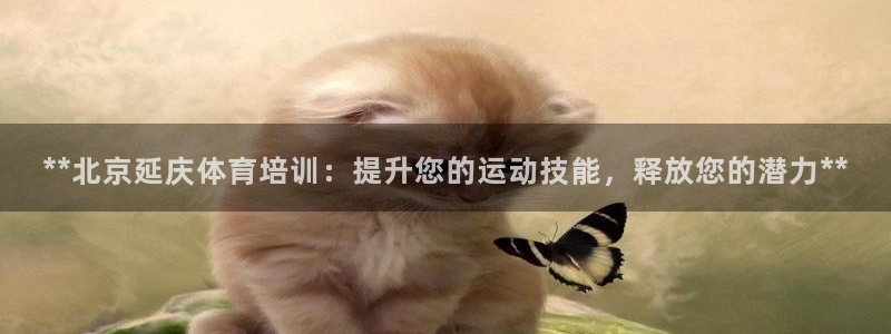 耀世平台日7O777：**北京延庆体育培训：提升您的