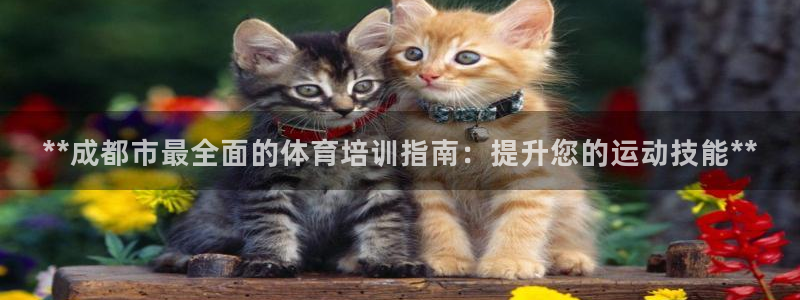 耀世集团董事长：**成都市最全面的体育培训指南：提升
