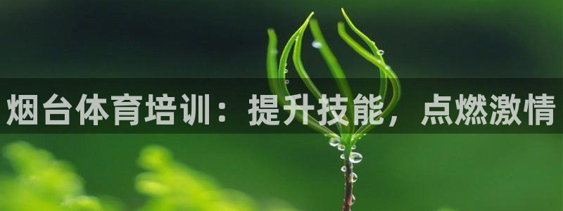 耀世娱乐是不是很黑呀：烟台体育培训：提升技能，点燃激情