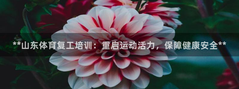 耀世娱乐怎么样：**山东体育复工培训：重启运动活力，