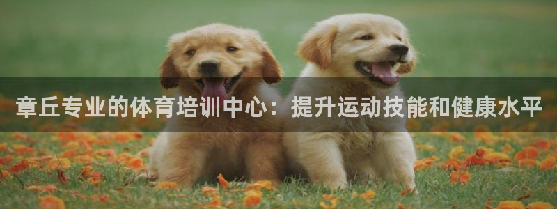 耀世天下的意思：章丘专业的体育培训中心：提升运动技能