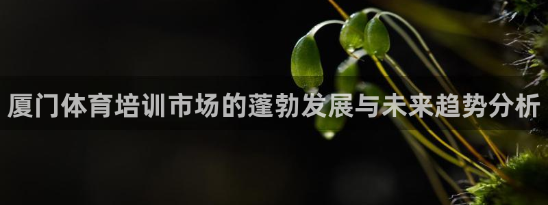 耀世平台登陆：厦门体育培训市场的蓬勃发展与未来趋势分析