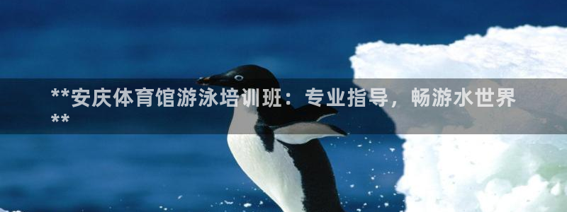 耀世天下短句：**安庆体育馆游泳培训班：专业指导，畅游水世界