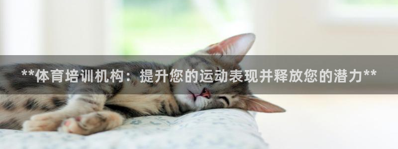 耀世平台总代理是谁：**体育培训机构：提升您的运动表现并释放