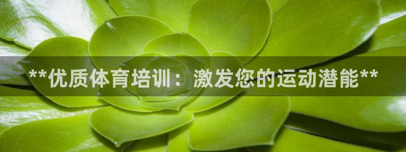 耀世娱乐注册账号：**优质体育培训：激发您的运动潜能