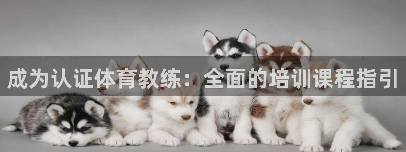 耀世平台的运营模式分析：成为认证体育教练：全面的培训