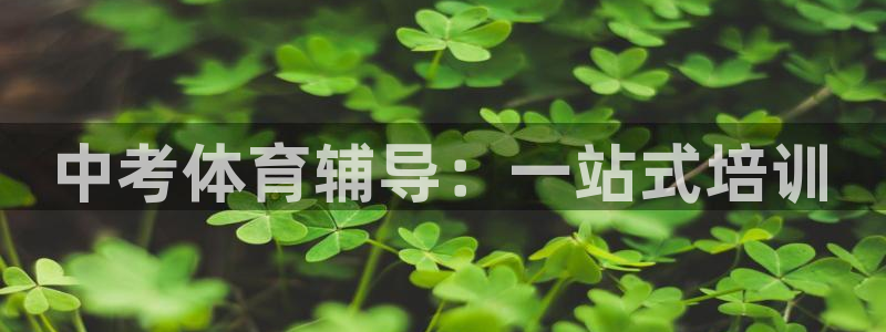 耀世盛典手游下载