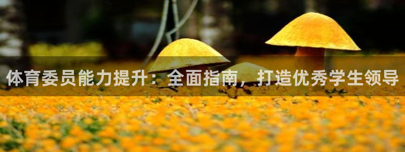 耀世娱乐总代理电话：体育委员能力提升：全面指南，打造