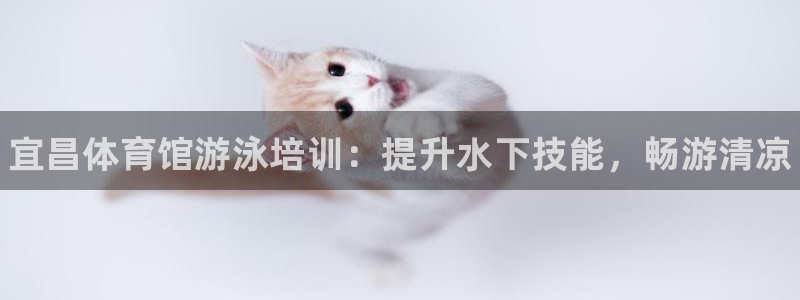 耀世平台主管代理是谁：宜昌体育馆游泳培训：提升水下技能，畅游