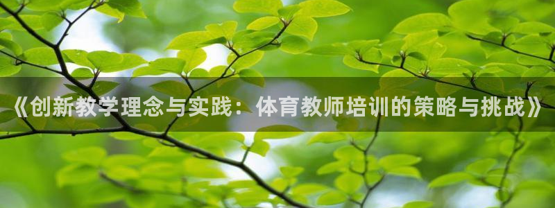 耀世平台的运营模式有哪些：《创新教学理念与实践：体育教师培训