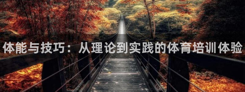 耀世娱乐官网注册账号：体能与技巧：从理论到实践的体育