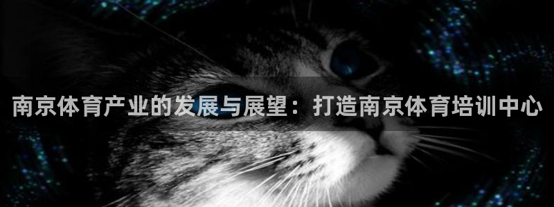 耀世集团视频直播在哪看：南京体育产业的发展与展望：打