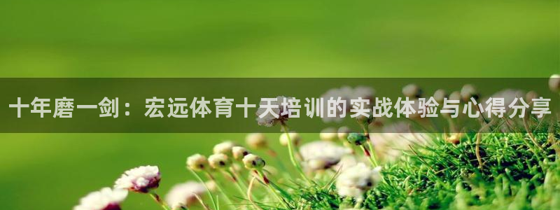 耀世天下的意思：十年磨一剑：宏远体育十天培训的实战体
