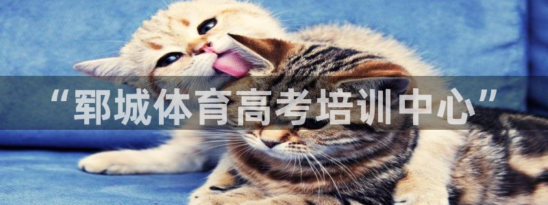 耀世娱乐联 585341